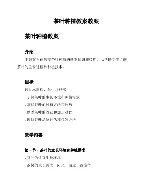 茶叶种植教案教案