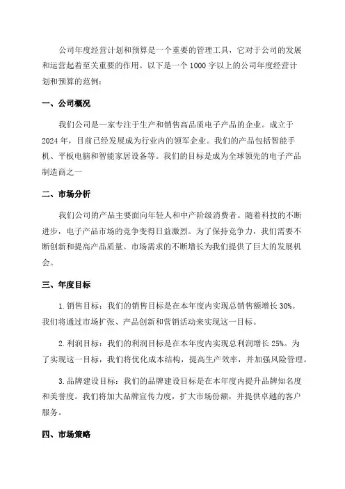 公司年度经营计划和预算