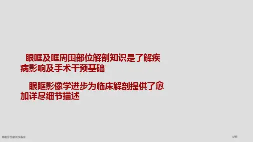 眼眶骨性解剖及临床