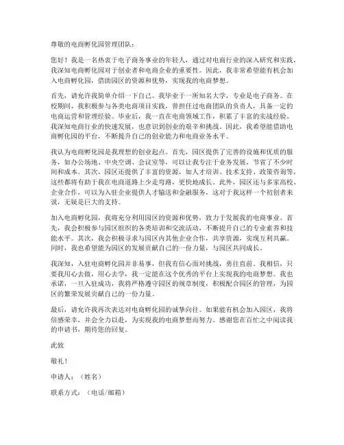 电商孵化园个人申请书