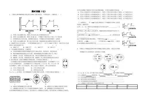 限时训练