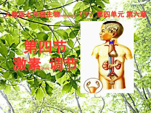 七年级生物 第四单元《 4.6.4激素调节 》课件