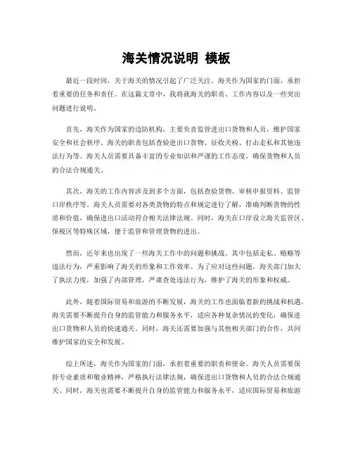 海关情况说明 模板