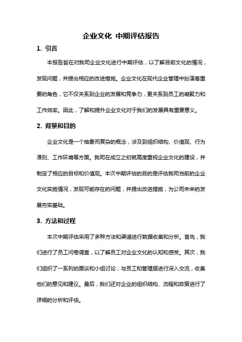 企业文化 中期评估报告