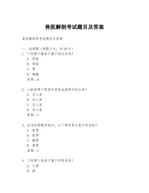 兽医解剖考试题目及答案