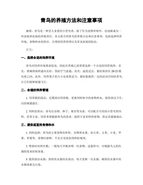 青鸟的养殖方法和注意事项