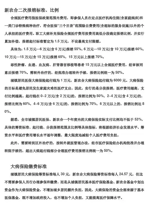 大病保险二次报销标准