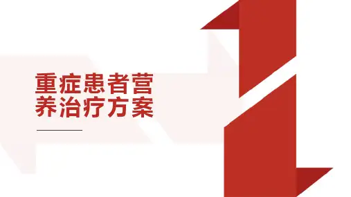 肠内营养方案