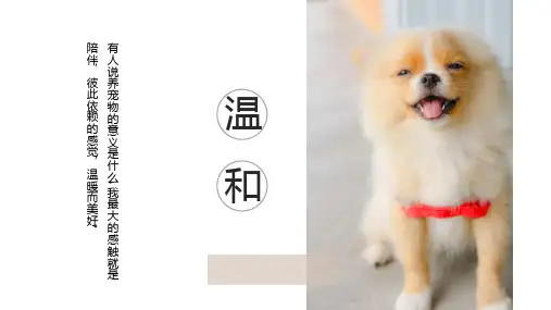 萌宠集狗狗生活相册宠物培训讲座课件PPT模板
