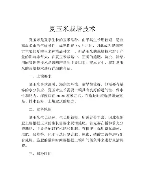 夏玉米栽培技术