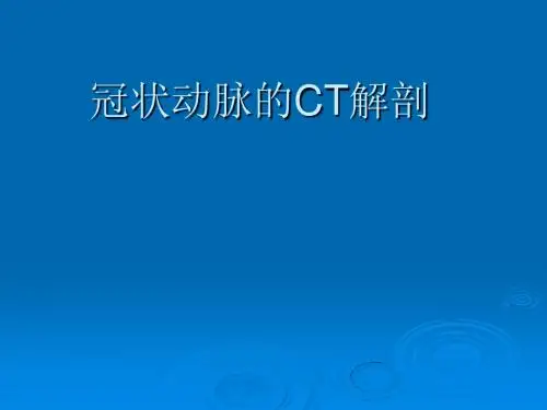 冠状动脉的ct解剖