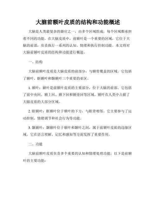 大脑前额叶皮质的结构和功能概述