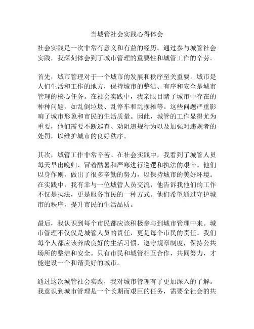 当城管社会实践心得体会
