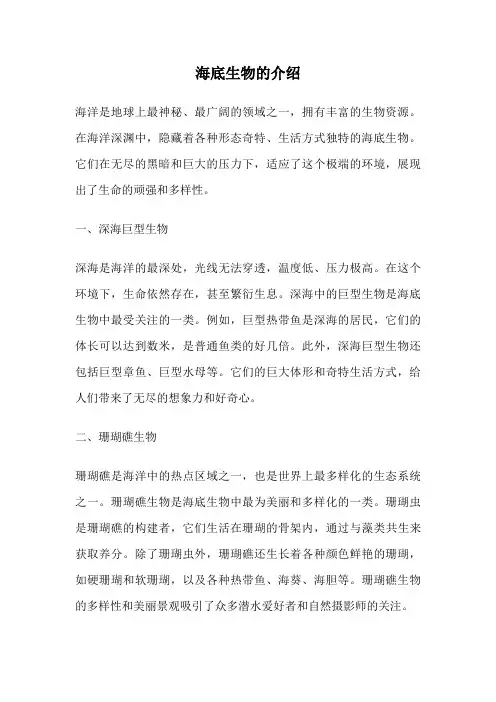 海底生物的介绍