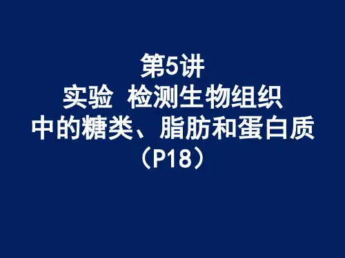 5检测生物组织中的还原糖脂肪和蛋白质