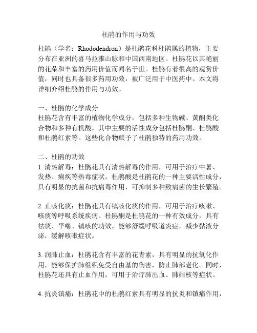 杜鹃的作用与功效