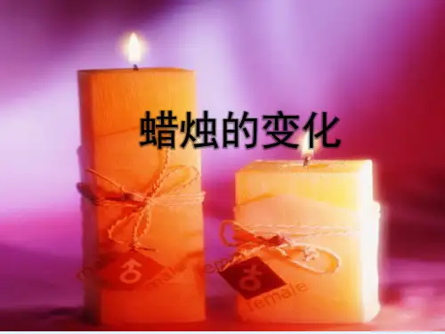 六年级上册科学课件-3.1 蜡烛的变化｜苏教版 (共21张PPT)