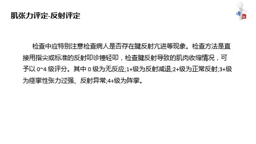 肌张力评定技术 评定 反射评定