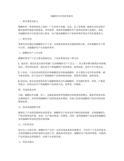 硫酸锌可行性研究报告