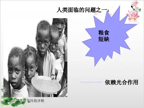 人教版高中生物必修一能量之源-光与光合作用光合作用的原理和应用-ppt精品课件