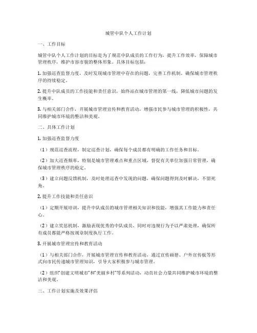 城管中队个人工作计划