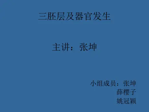 三胚层分化