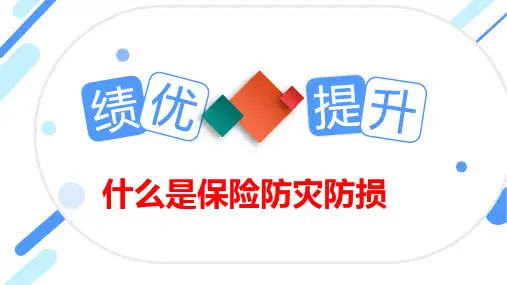 什么是保险防灾防损