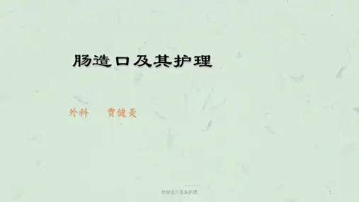 结肠造口及其护理课件