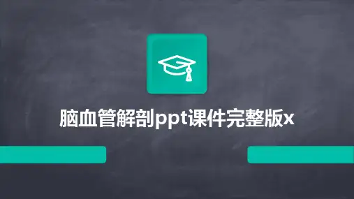 脑血管解剖ppt课件完整版x
