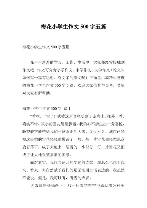 梅花小学生作文500字五篇