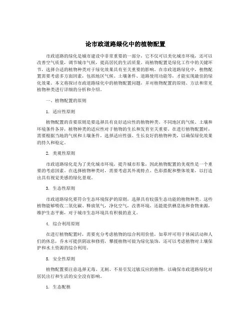 论市政道路绿化中的植物配置