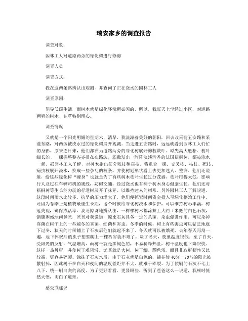 瑞安家乡的调查报告