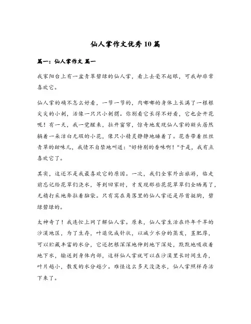 仙人掌作文优秀10篇