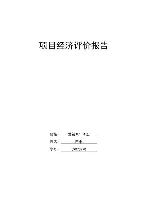 (完整版)项目财务评价报告