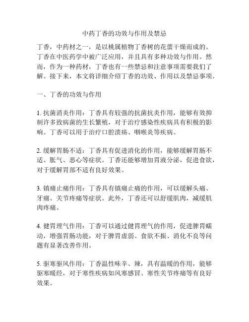 中药丁香的功效与作用及禁忌