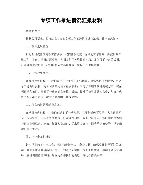 专项工作推进情况汇报材料