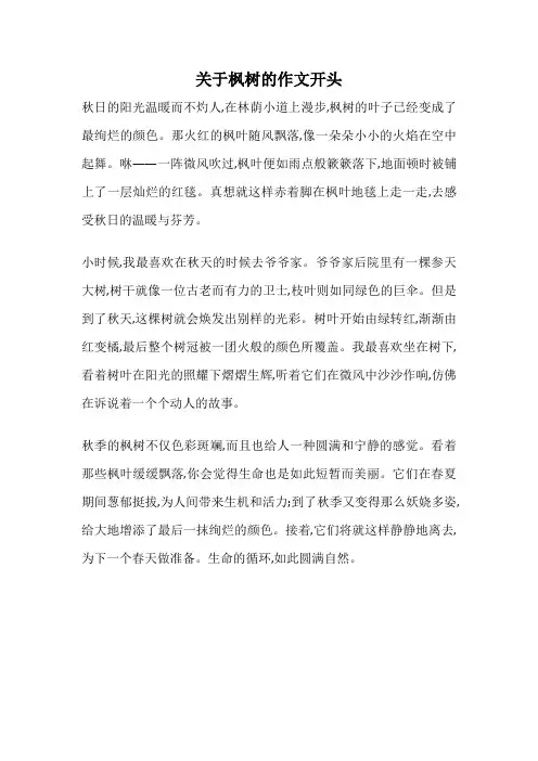 关于枫树的作文开头