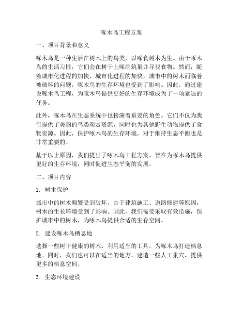 啄木鸟工程方案