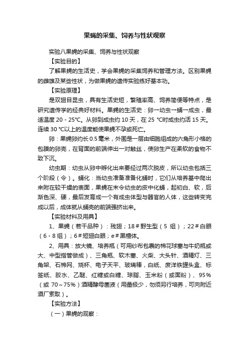果蝇的采集、饲养与性状观察