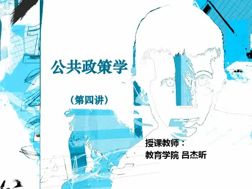 4公共政策问题的认定