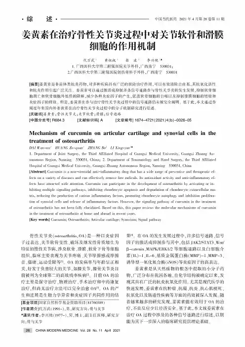 姜黄素在治疗骨性关节炎过程中对关节软骨和滑膜细胞的作用机制