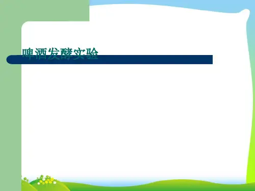 啤酒发酵实验原理.pptx