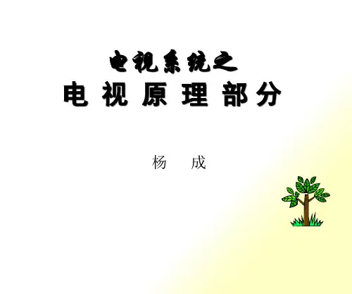 第一讲电视技术基础之一ppt-电视原理