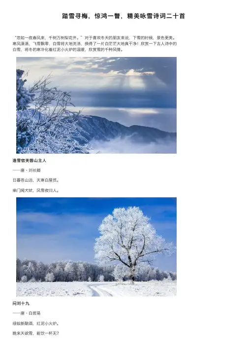 踏雪寻梅，惊鸿一瞥，精美咏雪诗词二十首