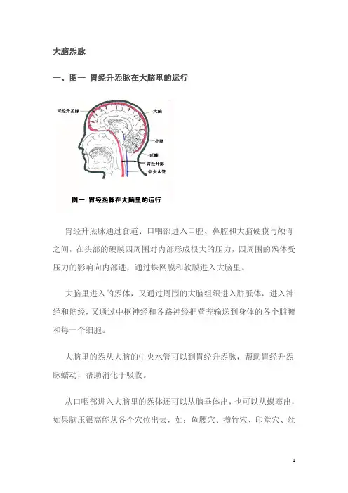 脑炁脉