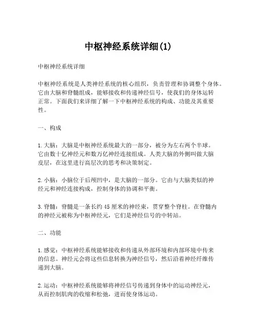 中枢神经系统详细(1)