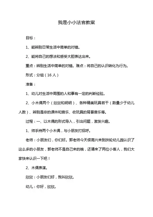 我是小小法官教案