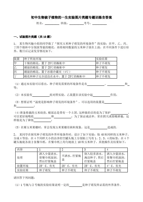 初中生物被子植物的一生实验图片类题专题训练含答案