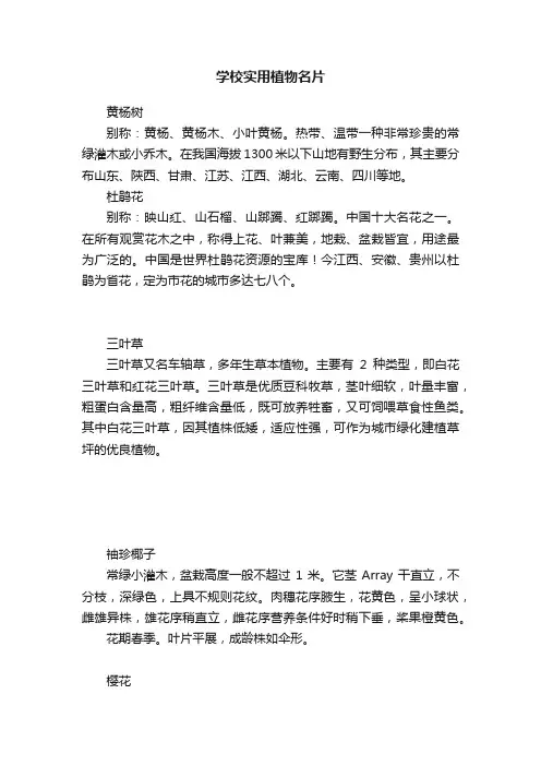 学校实用植物名片