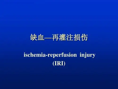 缺血—再灌注损伤